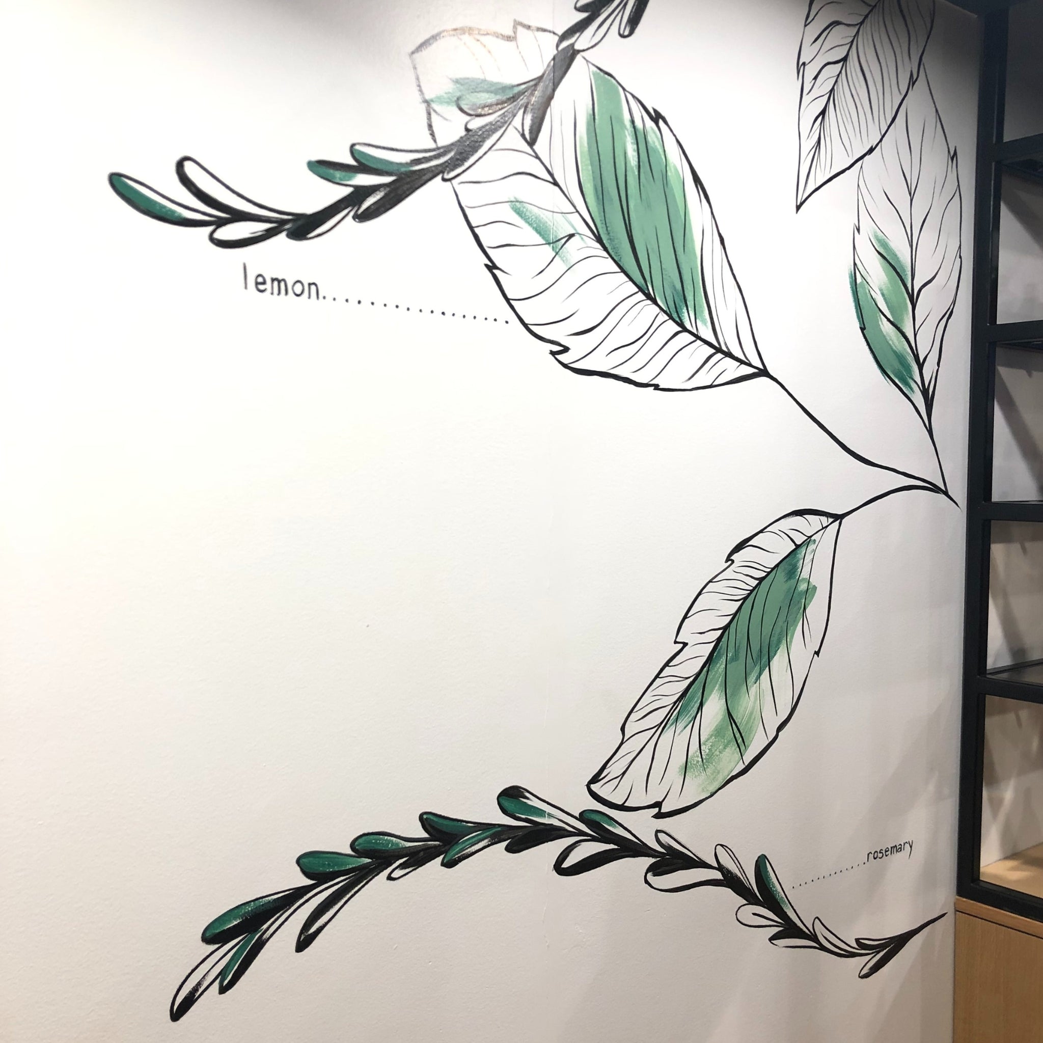 Botanical Line Drawing Wall Mural, Saje Natural Wellness